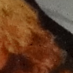  iso1600_1.jpg 