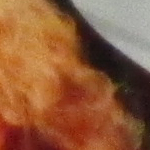  iso1600_1.jpg 