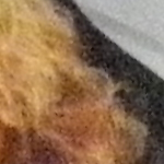  iso1600_1.jpg 