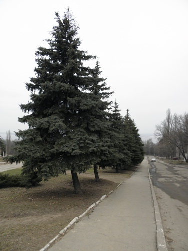  P4010010.JPG 