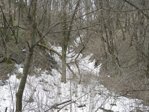  P4010023.JPG 