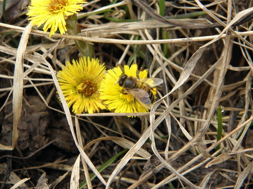  P4010032.JPG 