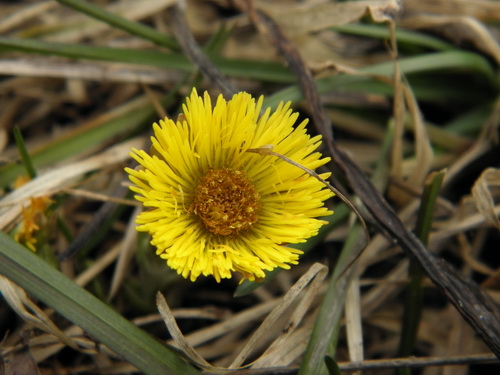  P4010035.JPG 