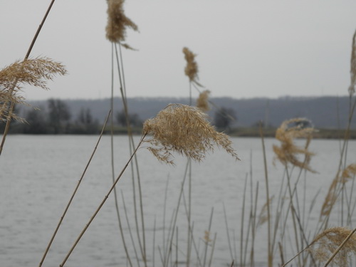  P4010040.JPG 