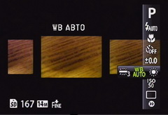  main_7.jpg 