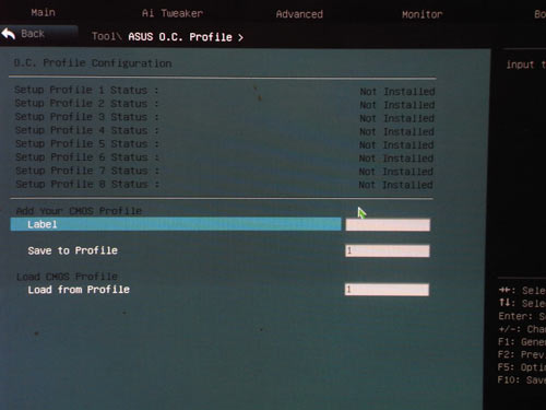  ASUS Sabertooth P67  OC Profile 