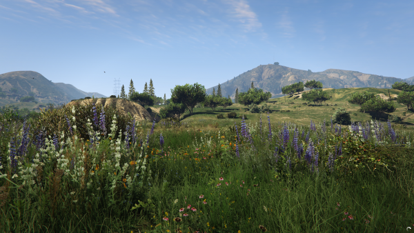  Grass Quality: Ultra 