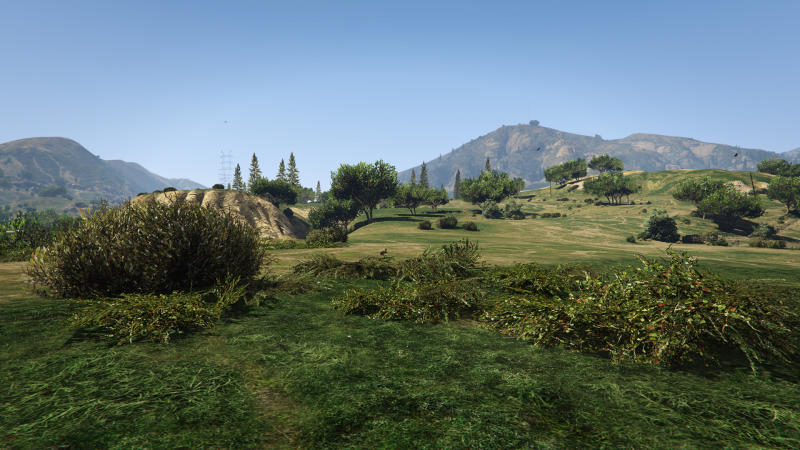  Grass Quality: Normal 