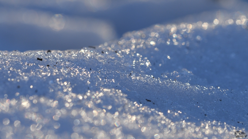  f/11, 1/320, ISO 640 