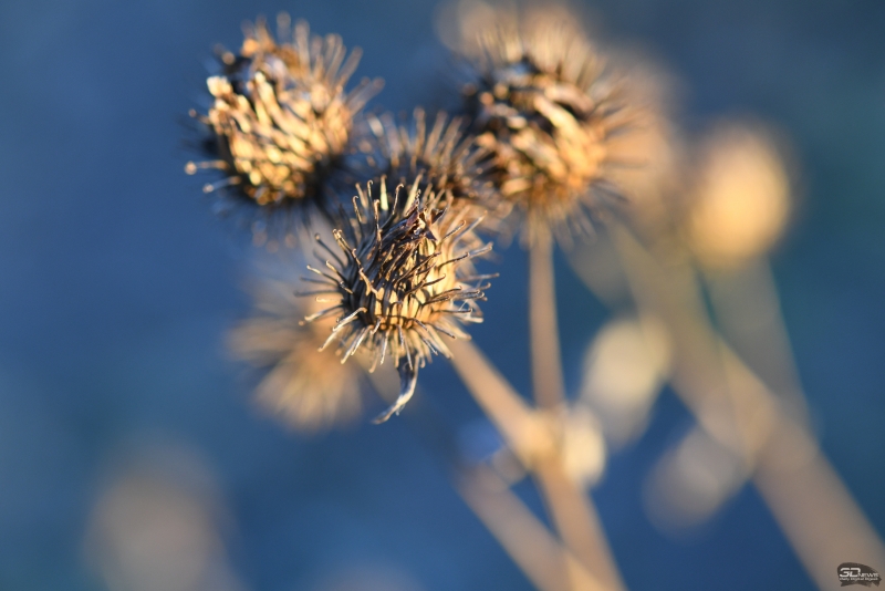  f/4, 1/100, ISO 400 