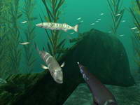  Diver: Deep Water Adventures 