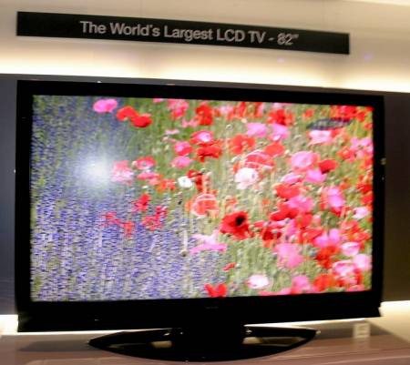 CES 2006