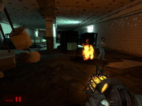  Half-Life 2: Episode I 