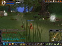 Hero Online