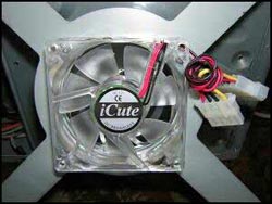  iCute 0313SL-BB 