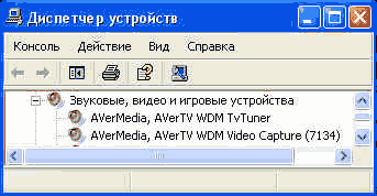  AVerTV Studio 307 
