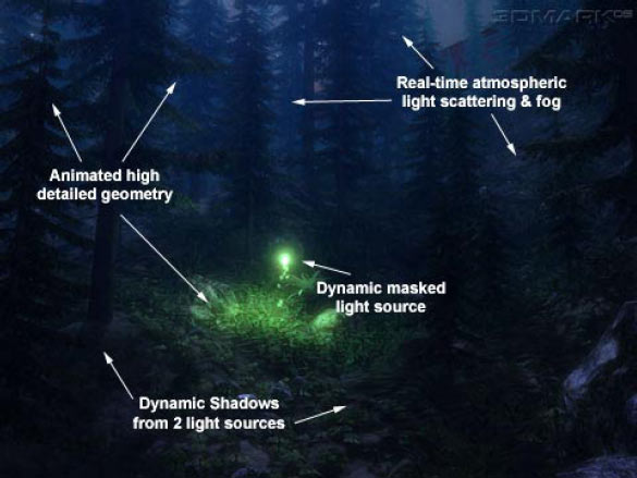  Firefly Forest 
