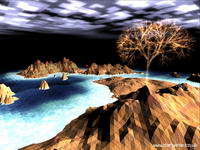  Darwinia 
